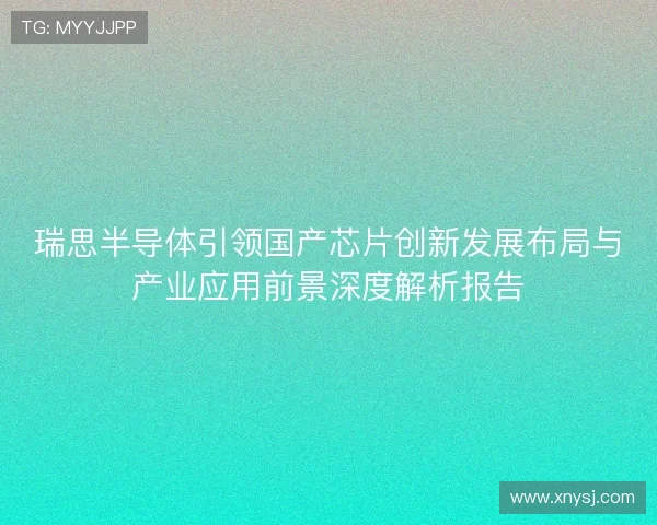 瑞思半导体引领国产芯片创新发展布局与产业应用前景深度解析报告
